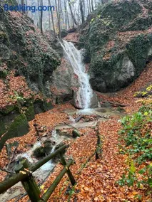 Ruhepol in den Voralpen - Image 4