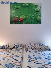 La Coccinella di Susa - Image 2
