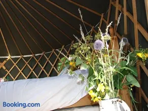 'Oak' Yurt in West Sussex countryside - Image 2