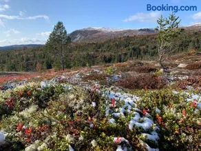 Hytte på Sørbølfjellet - Image 3