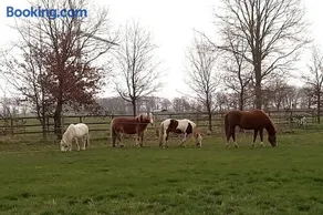 Entspannen auf dem kleinen Ponyhof - Image 3
