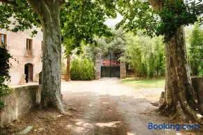 Can Cors - Image 4