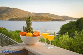 Holiday Home Island View - Tudorovica - Image 5