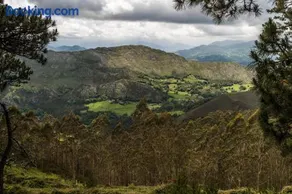 Bajo Los Tilos - Image 3