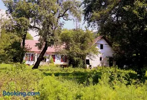 Casa Memoriala George Stephanescu - Image 1