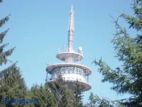 Haus am Wald - Image 1