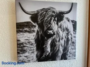 Der Highlander - Image 3