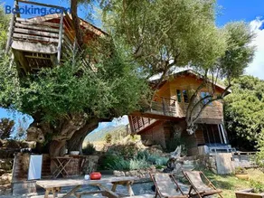 Cabane Dans les Arbres, Domaine de l Ogliastru - Image 3