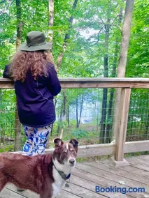 Escape to Tree House Island Life - Image 3