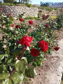 dilemi 3 - Image 5
