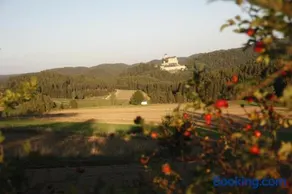 Apartamento con barbacoa y jardín | Vistas al jardín - Image 2