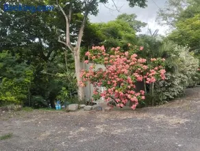 Hotel La Finca de Juancho - Image 4