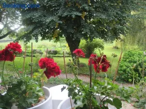 La Maison près du ruisseau - Image 3