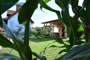 Agroturystyka u Ani - Image 2