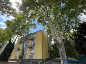 Lombkorona apartman - Image 1