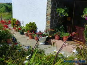 Glenhouse - Image 5