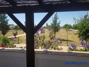 Lince Casa Rural - Image 3