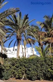 Estrella de Mar - Image 1