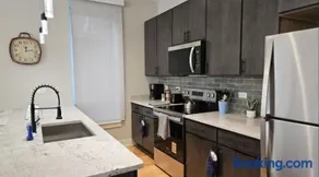 Renovated 3 Bedroom Chicago Downtown Pilsen - Image 1