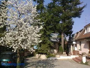 Alpesi Trimmel Vendégház - Image 2
