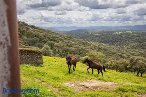 Finca la Arborea - Image 1