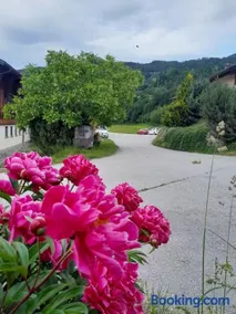 Familien-Bauernhof Neumoar - Image 1