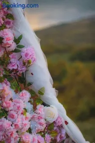 Dušanovac Panorama House - veliko dvoriste, 2 rostilja, pogled na Rasku - Image 3