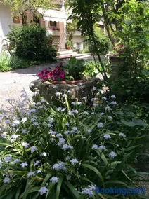 B&B Oasi di Venezia - Image 2