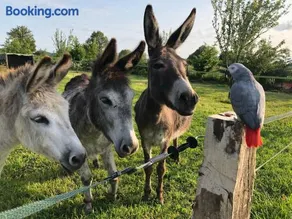 Maison de charme en Berry près d'un golf & spa, jardin d'hiver, vélos, animaux bienvenus - tout inclus - Image 3