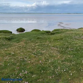 Rose cottage on the peaceful solway coast - Image 5