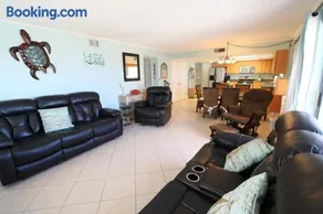 Spanish Trace 455 - Image 5