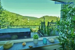Fewo Haus Bellevue - in traumhafter Naturlage - inkl MeineCardPlus - Image 2