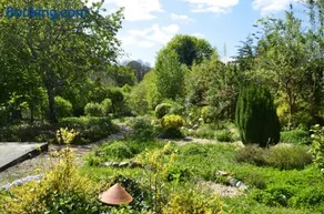L'Olive - Image 3