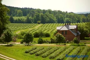 Forsthof Niendorf - Image 3