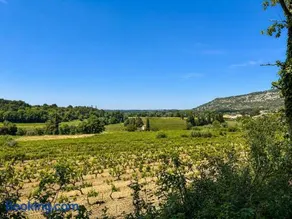 La Pinière - Nature & déconnexion sans électricité - Image 2
