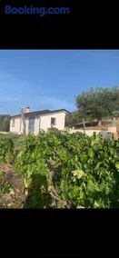Villa Paradiso - Image 2