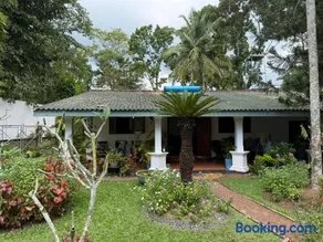 New Greenish Villa - Image 1