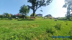 Peacock Lodge - Sleeps 4 - 2 Bedrooms - Image 2