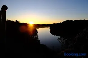 Bloom by the Bend - Image 5