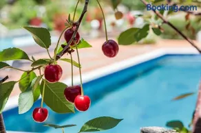 Nature Grand Estate - Spacious Villa with Pool - Image 3