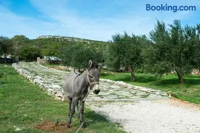 Dalmatian country house Irena - Image 2