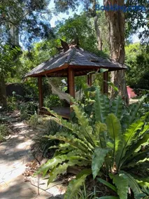 Shambhala - Image 1