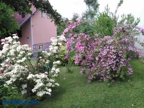 Apartment Tomašević - Image 5