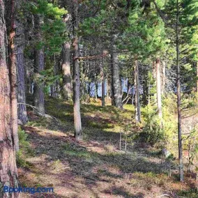 Fisherman's house-rooms 1-8 persons near Storuman - Image 4