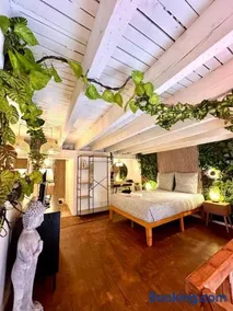 Jungle avec Jaccuzi au coeur de Nice - Image 5