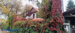 Famiy &Pet Friendly villa in Nea Vrasna-Big Garden& -BBQ WalK to Sea # - Image 1