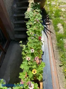 Le Cocon du Potier - Image 3