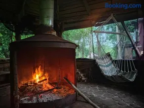 Off-grid forest glamping - Image 3