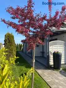 Apartamenty Lawenda - Image 1