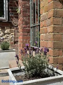 3 Bedrooms, 3 Double Beds, 6 Guests, Countryside Thatched Cottage - Image 2